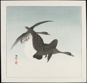 Gansos en vuelo, antes de 1912 de Ohara Koson